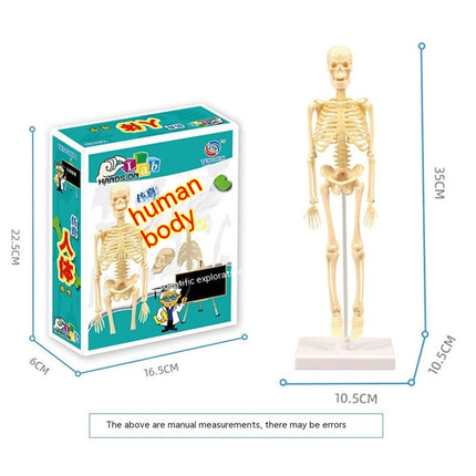 Early Education Human Body Toy Skeleton Model Suit Puzzle
